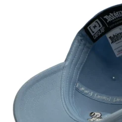 Casquette Dad cap Asterix Et Obelix Idéfix Strapback / Boucle Bleue - Capslab