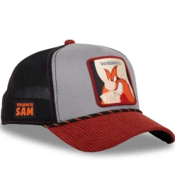 Casquette Trucker Looney Tunes Snapback - Grise - Capslab