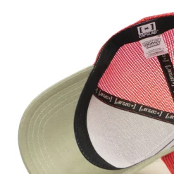 Casquette Trucker Looney Tunes Bugs Bunny Snapback Beige - Capslab